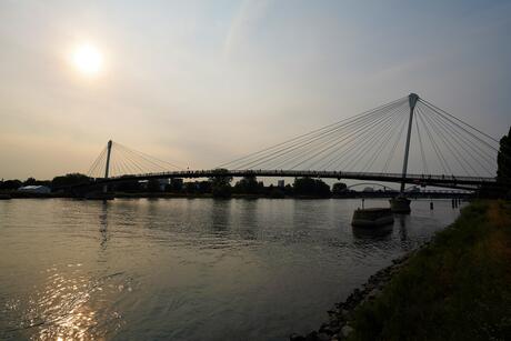 Kehler Rheinuferlauf