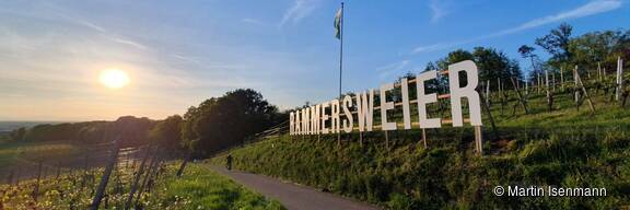 HOLLYWOOD war gestern.